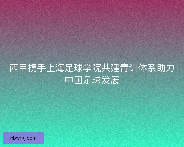 西甲携手上海足球学院共建青训体系助力中国足球发展 西甲携手上海足球学院共建青训体系助力中国足球发展